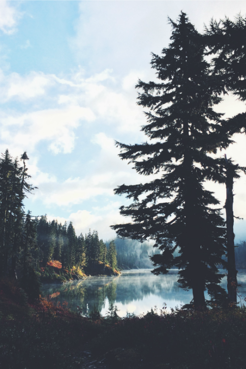 expressions-of-nature:  by Kay Soper