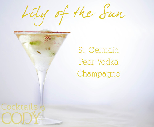 cocktailsbycody:Now I bring you part three in the series of my Fairy Tale Cocktails. These are my 