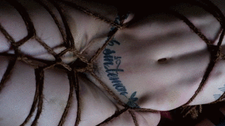 Porn Pics camdamage:  from the archives: vii | cam