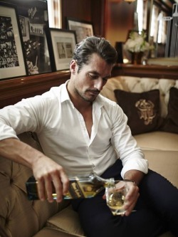 Chateau-De-Luxe:  British-Lord:  David Gandy     ♔The Old British Aristocracy♔