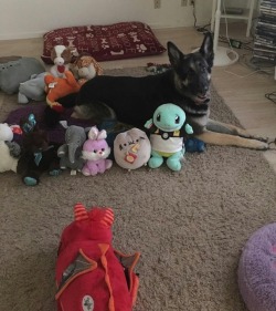 Leonard’s first day of plushie school