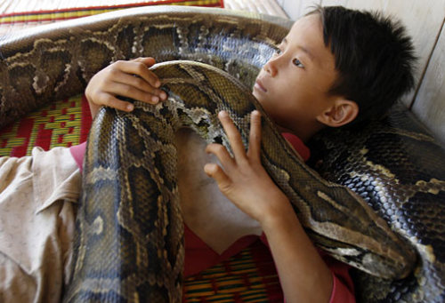 rosewolfheart: megarah-moon: A seven-year old boy from Cambodia has a rather unusual best friend. Ko
