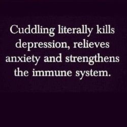 killerkurves:  crystalalicia:  It’s cuddle