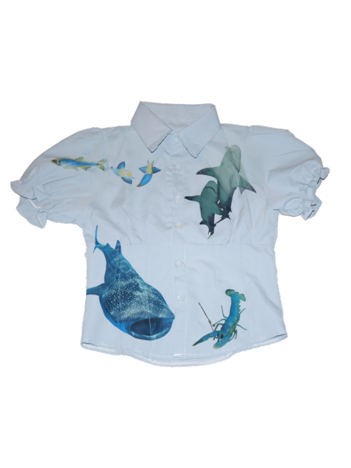 FISH CLOTHES