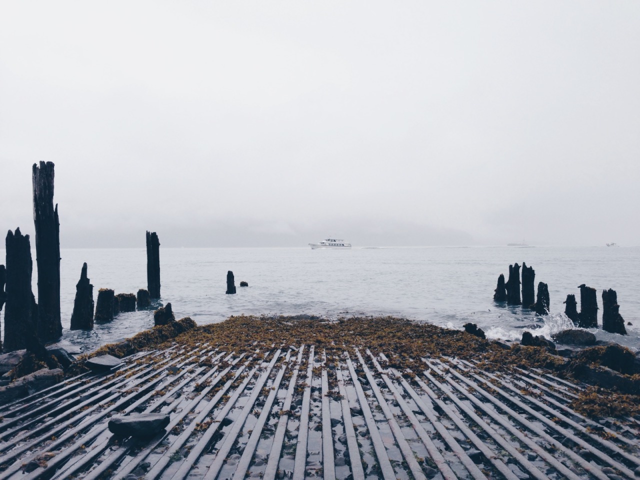 danielodowd:  …sometimes I take pictures…
