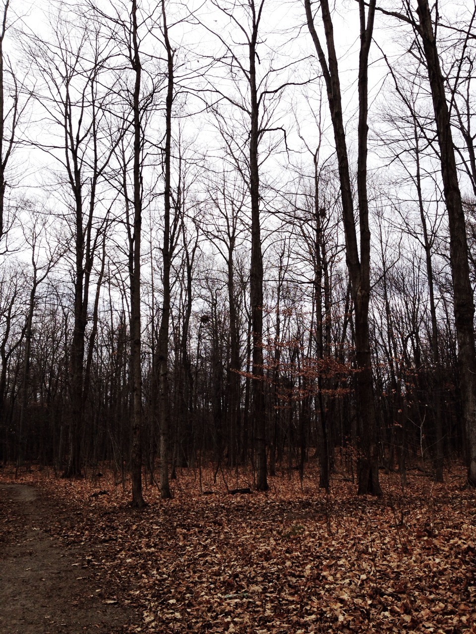 adventored:  nature 