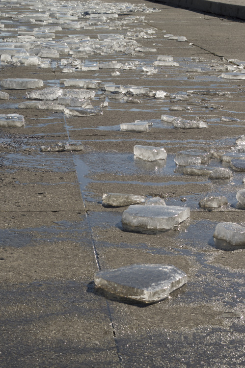 Icy Chicago