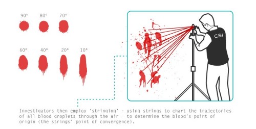 fuckyeahcharacterdevelopment:  spineye:  amandaonwriting:  Bloodstain Pattern Analysis (BPA) - Resource for Crime Writers SOURCE  well you never know when this might come in handy.  I feel like this would be useful to some of you.  