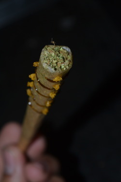 mauiw0wie:  Twax Joint I rolled 