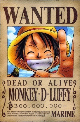 one piece bounties 