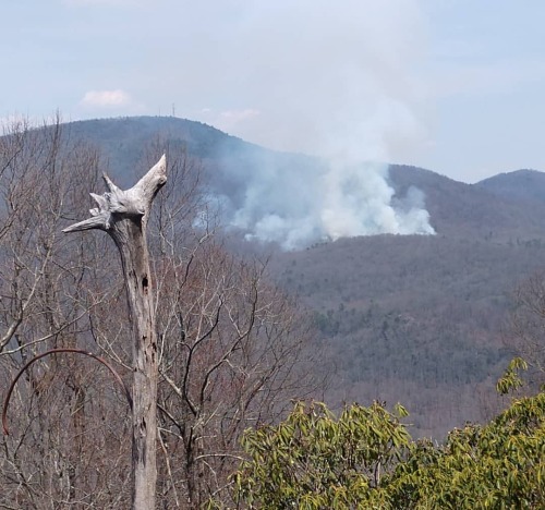 Our view of yesterday’s controlled burn at Florence Nature Preserve in the Hickory Nut Gorge. 