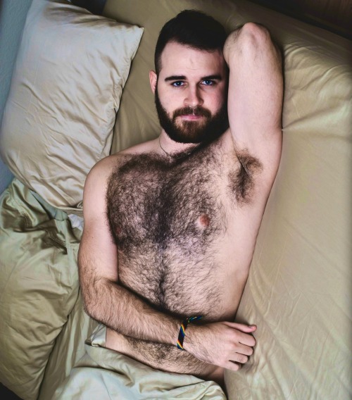 yummy1947:This very handsome bear has a gorgeous