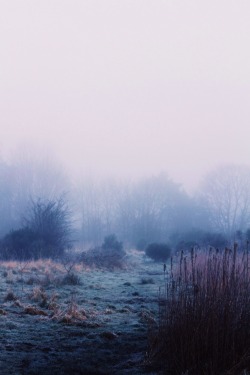 mark-don:  Fog this morning