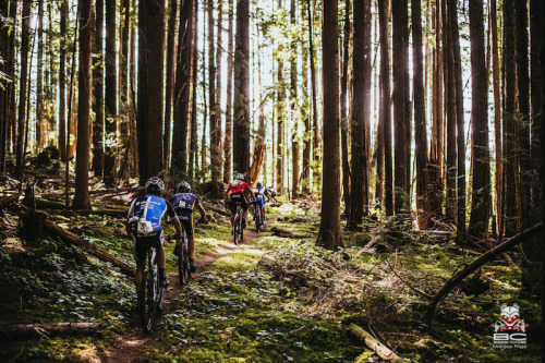 chirosangaku:  BC Bike Race Day 5: Sechelt to Langdale - Pinkbike