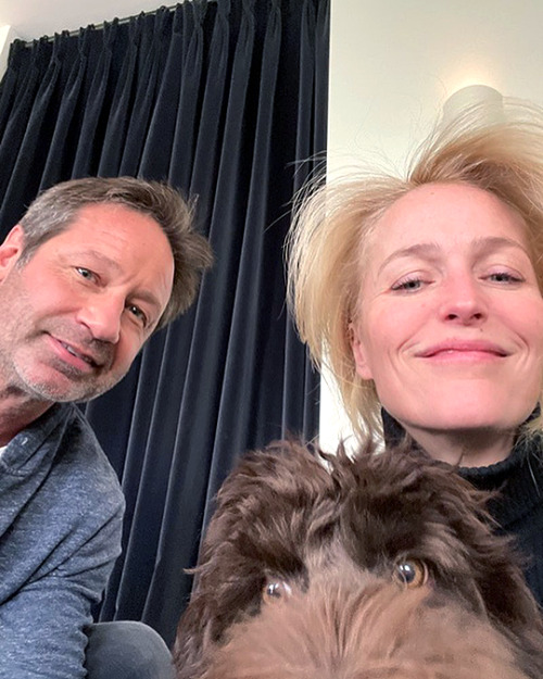 slayerbuffy:@gilliana: Stella made a new friend today. @davidduchovny.