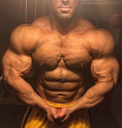 musclegodselfies:  Hamed Javidan