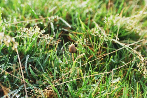 A walk on the Mendips.