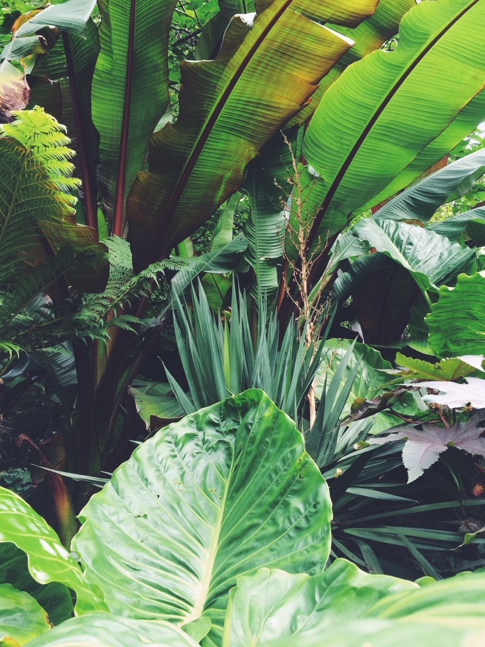 asthetiques:  BACK IN THE FIELD 