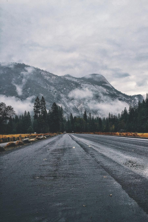 banshy:Yosemite Valley // Blaine Nadeau 