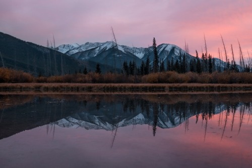 expressions-of-nature: by Mark Basarab