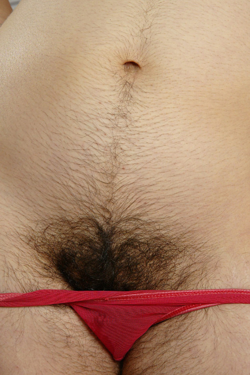 biggchipper:  superhirsuteandbushychicks:  Hirsute Sophia Continued  Beautiful… 