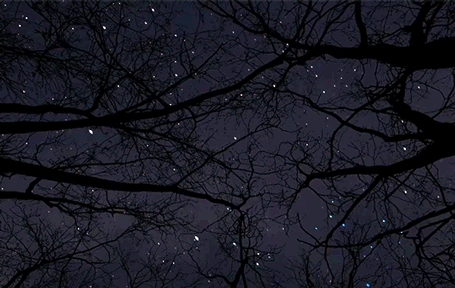 If I Just Disappear Someday, Would U Even Care?Would U Search For Me, Look Around Somewhere? I Don't