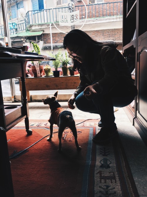 Neighborhood dog at Yeomni-dong’s Chowon Bookstore, a newly opened independent bookstore specializin