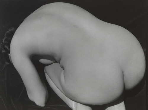 Bending Nude, 1932 Imogen Cunnigham :: Nude, 1932. | src National Gallery of Australia