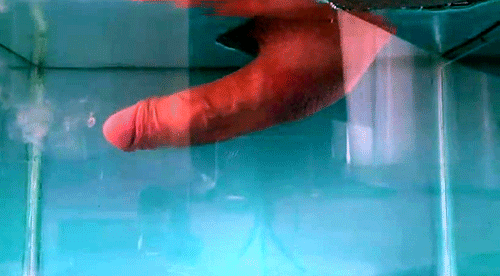 https://pili0204.tumblr.com/post/105699213452