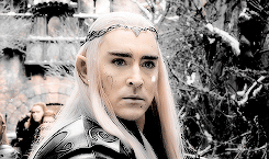 elvenking:    A hundred years is a mere blink in a life of an E l f.  