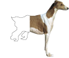 frozenfishfillet:frozenfishfillet:chongoblog:chongoblog:chongoblog:Had a dream that