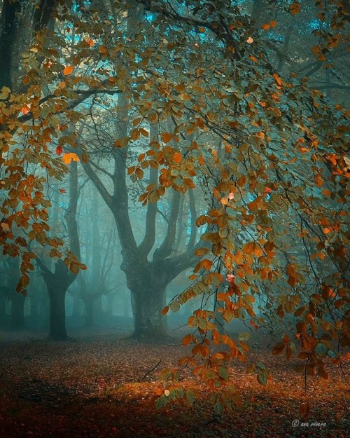 pangeen:Almost in October by Ana Rivero R. Okariz