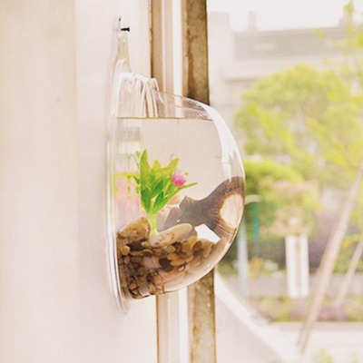 tobious:Creative Wall Hanging Transparent Glass Vase