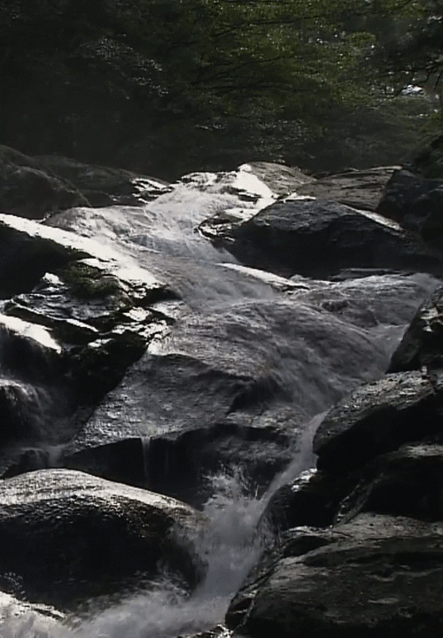 tumblr_ml2mrzM17R1s2xab7o1_500.gifv