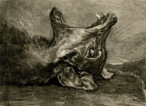 scribe4haxan: Laughing Dog (1820-1876 - Mezzotint) ~ John Frederick Lewis
