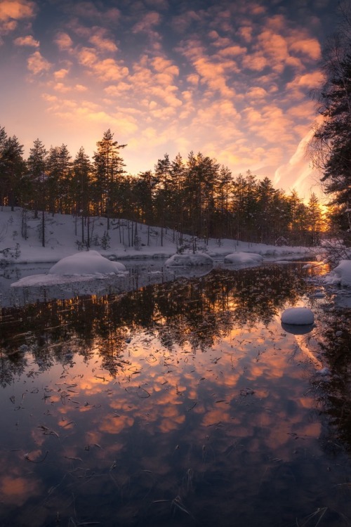 Winter Lightby Ole Henrik Skjelstad