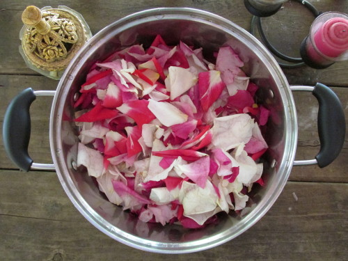 amantes-suntt-amentes:How to Make Your Own Rosewater (the easy way!)Collect rose petals, enough to f