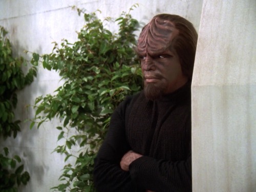 spockvarietyhour:Me at a party“you should mingle”