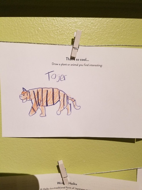 huntressgoodwitch: I was at the Museum of Natural History and there was a section to draw stuff and 