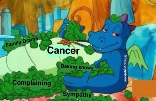 happycapricorntumble:Dragon Tales Meme Part One