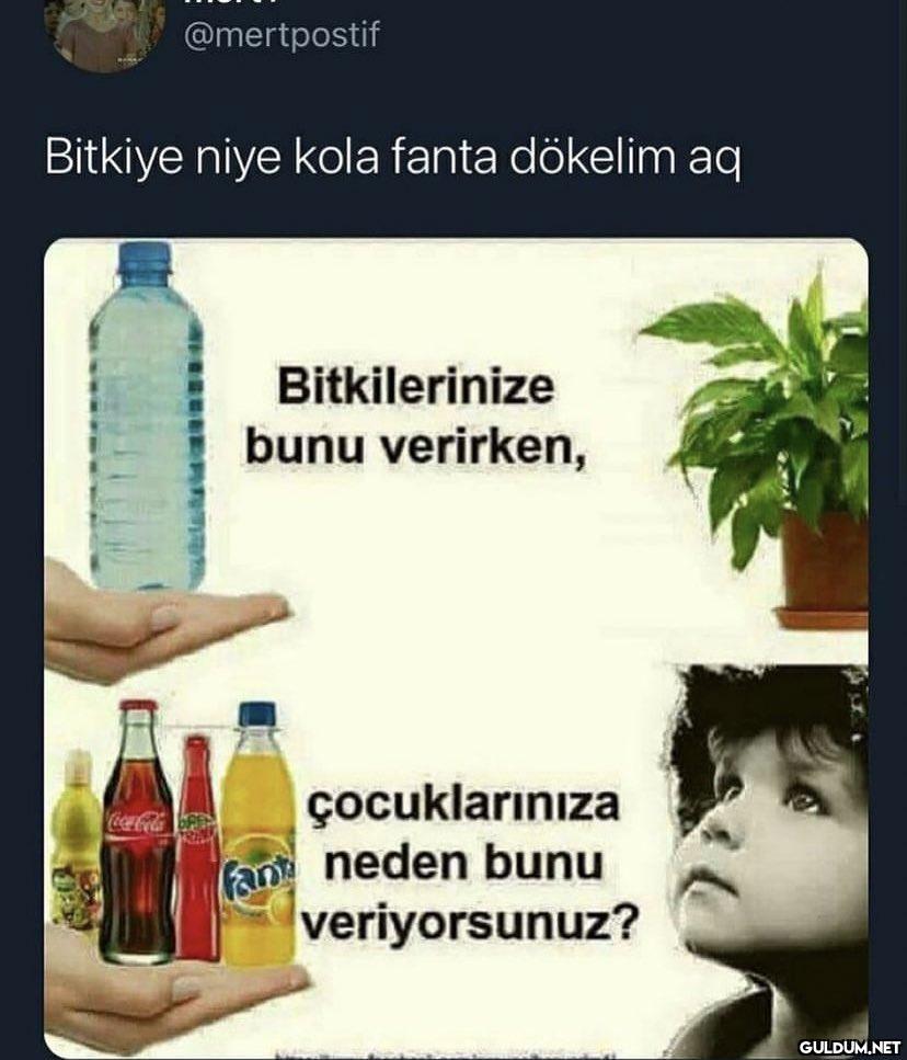 Bitkiye niye kola fanta...