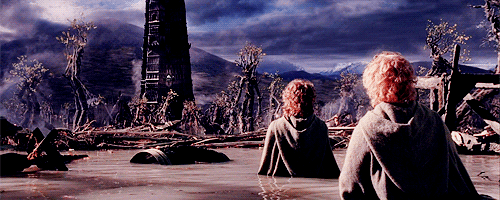 starkswaters:FANGIRL CHALLENGE ♔ ten movies {5/10}↬ Lord of the Rings: The Fellowship of the Ring //