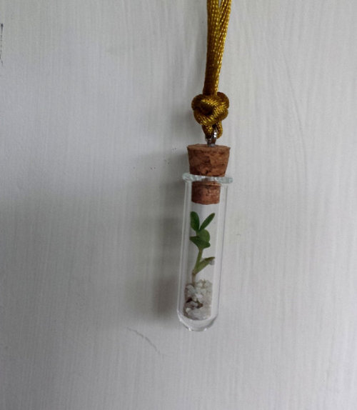 Living Plant Necklace, $10.50