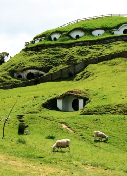 minardil: Abandoned Hobbiton from Lord Of The Rings taken over by sheep. 