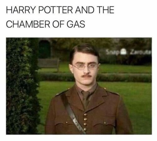 perspectivemax:Harry Potter and the Prisoner of Aushwitz