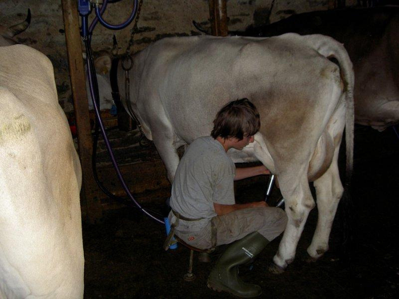 farmboy84hh:  Hot young farmer boy by maver57 http://flic.kr/p/j6Zv6x 
