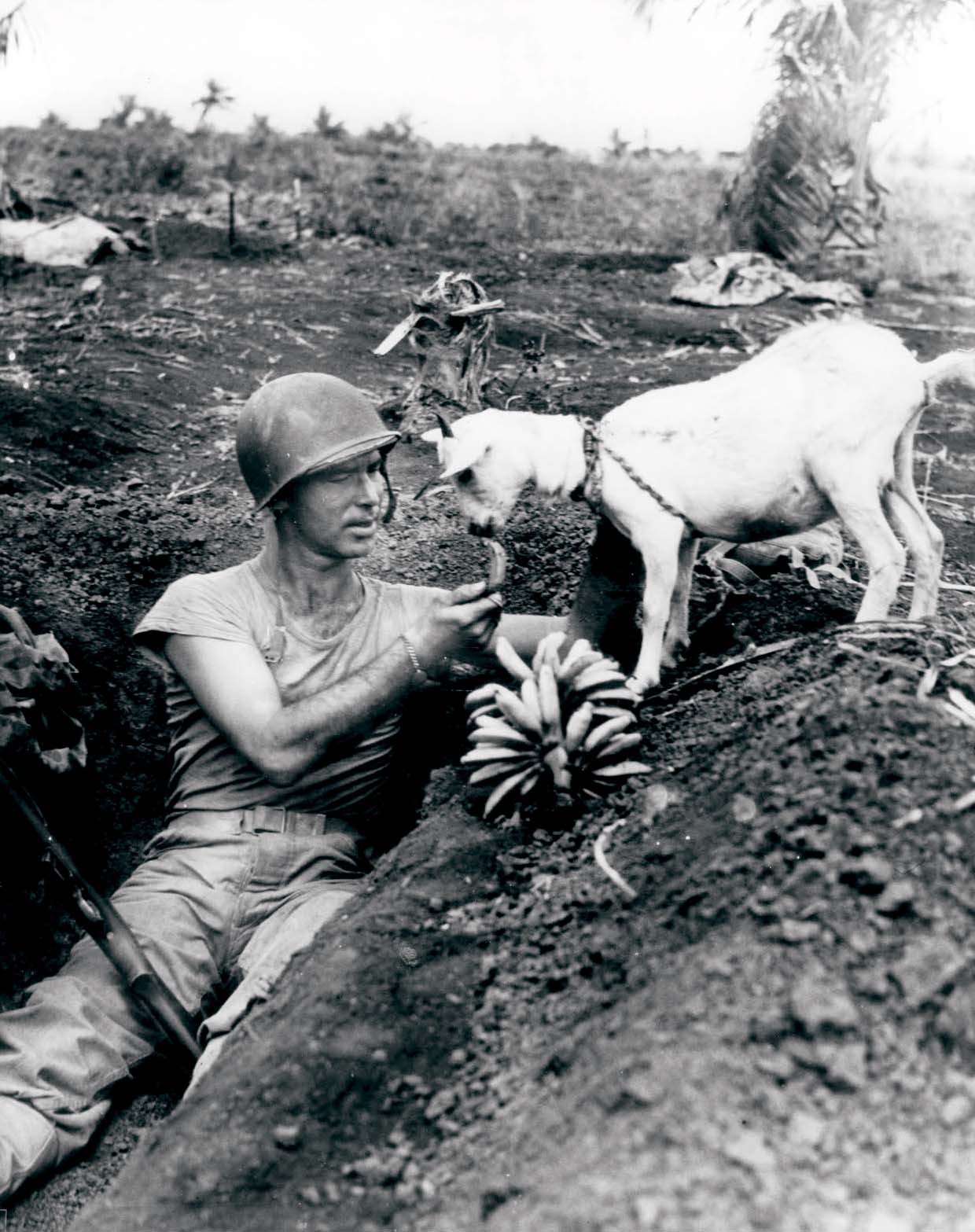 militaryhistoryphotos:  A US Marine shares a banana with a native goat during the