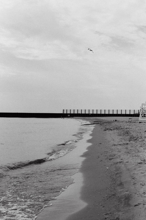 Chicago, briefly Mom, me, tree-lined streets, U. of Chicago, Lake Michigan, the Lucky Platter, summe