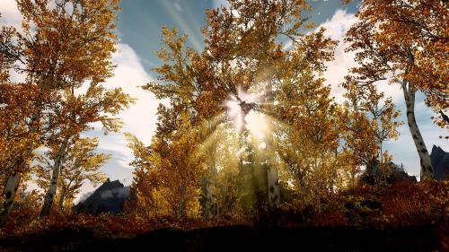 worldofelderscrolls: Trying out a new Sunsprite.  So I took a shot without it and two with it. 