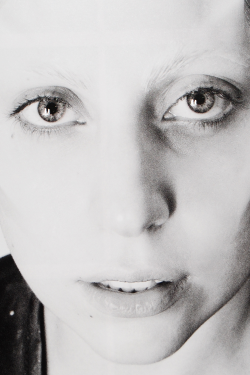 killtheillusion:  Lady Gaga, Portrait by